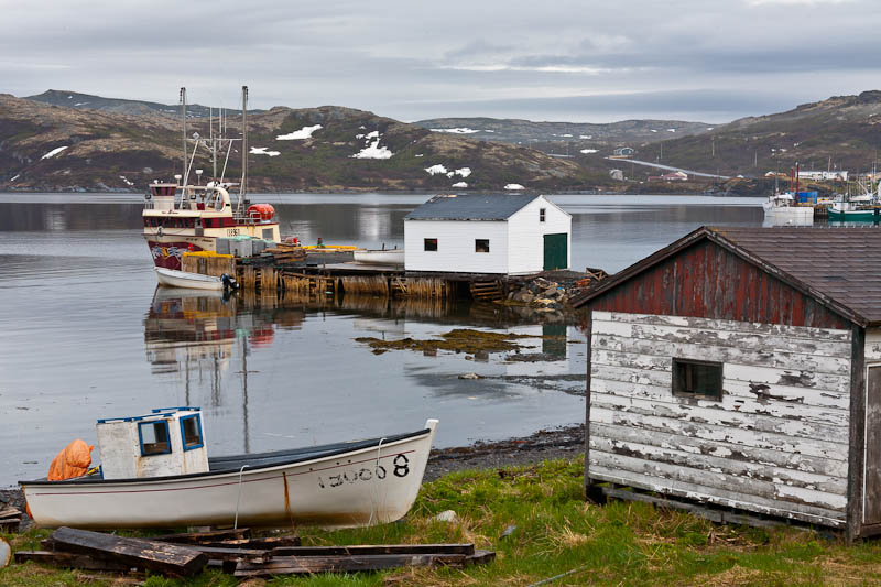 Newfoundland No-0930.jpg